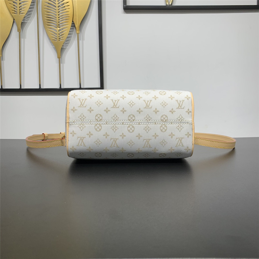 l0vis Vvtt0n lv speedy bandouliere 20 bag