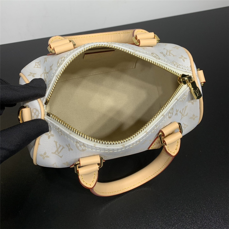 l0vis Vvtt0n lv speedy bandouliere 20 bag