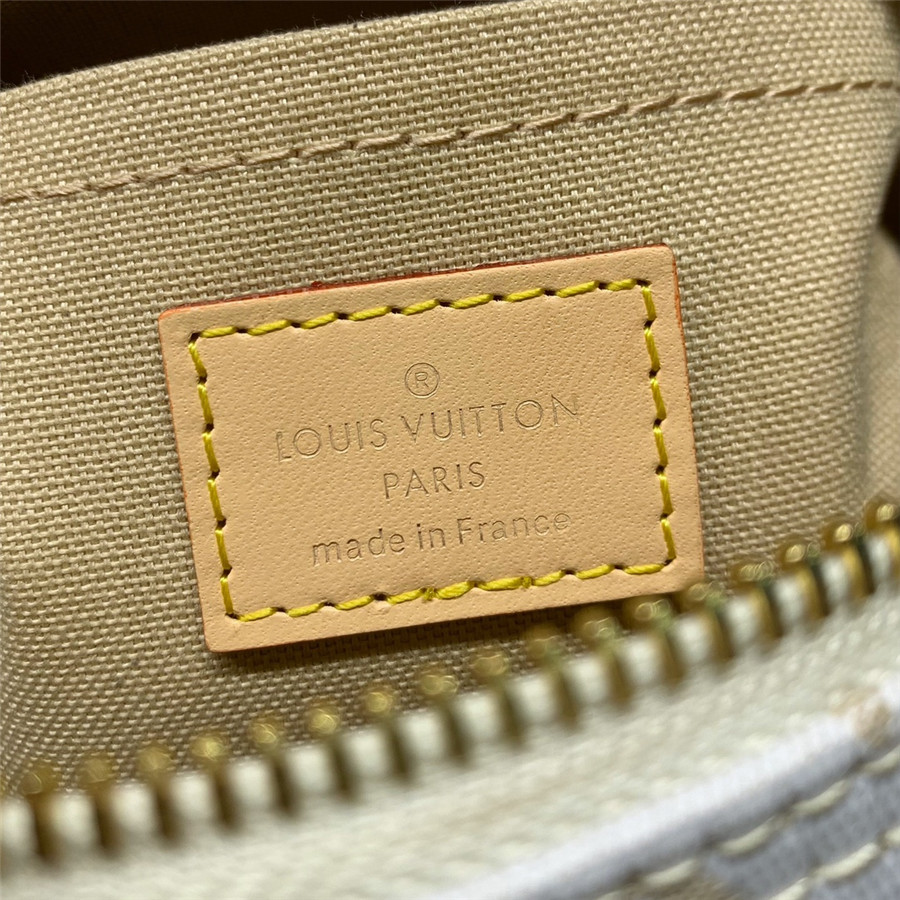 l0vis Vvtt0n lv speedy bandouliere 20 bag