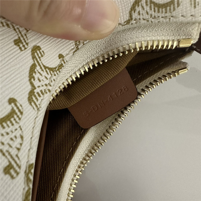 Ce1i*e ava triomphe bag canvas