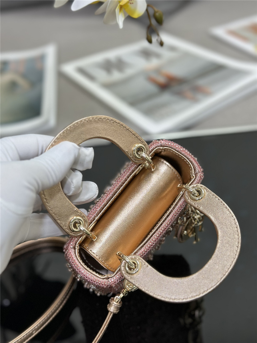 lady D10r mini embroidered beaded bag