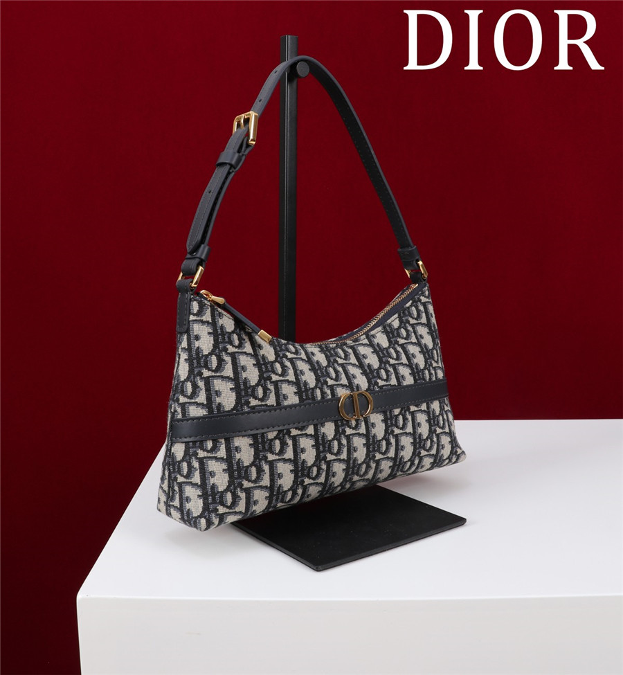D10r 30 montaigne mini shoulder bag