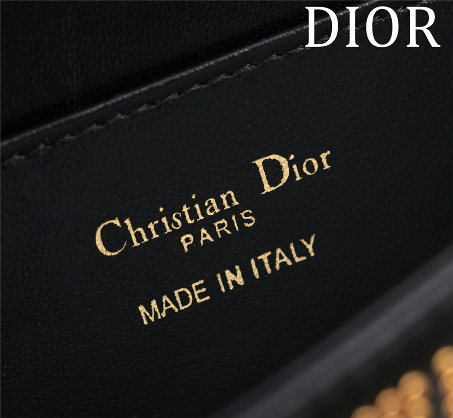 miss D10r allover bag [2610]