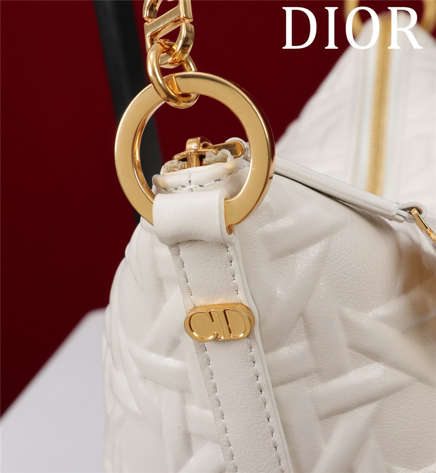 D10r star hobo bag with chain