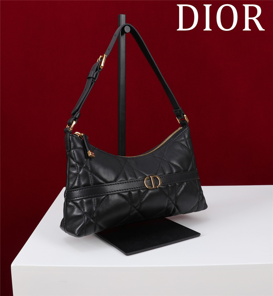 D10r 30 montaigne mini shoulder bag