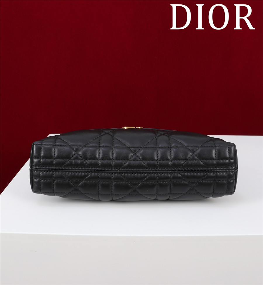 D10r 30 montaigne mini shoulder bag