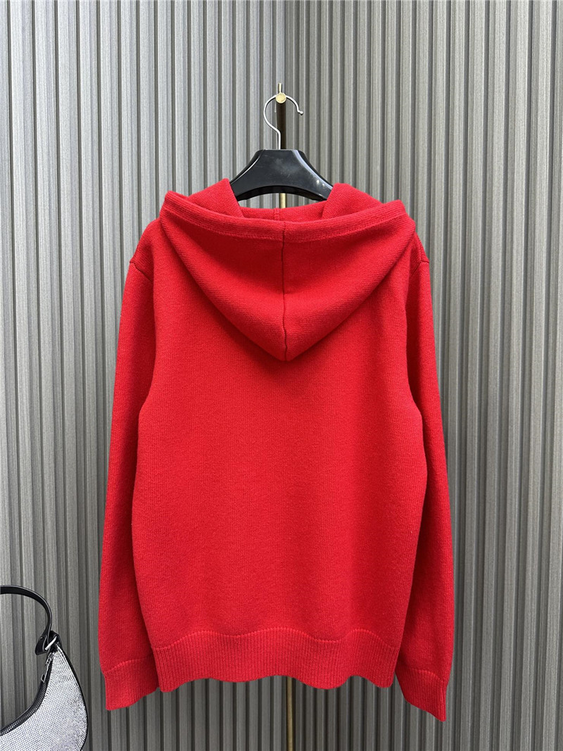 Ce1i*e logo hooded sweatshirt red