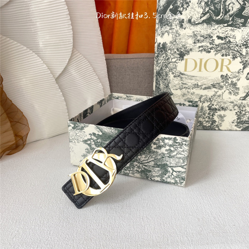 D10r classic lattice craft belt