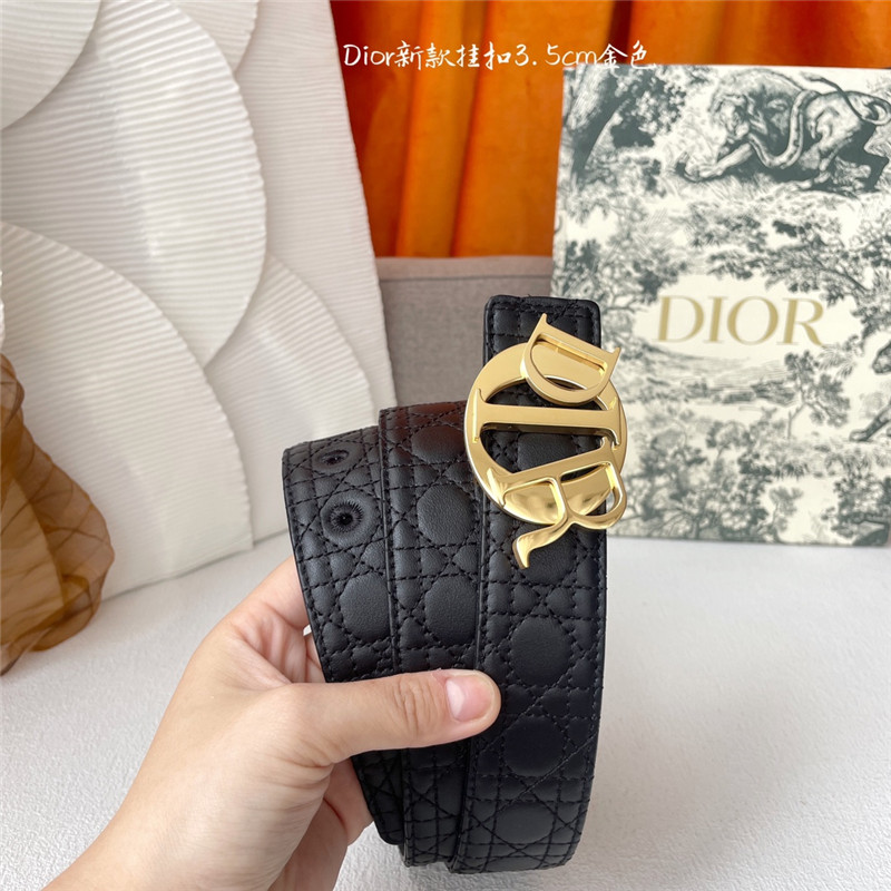 D10r classic lattice craft belt