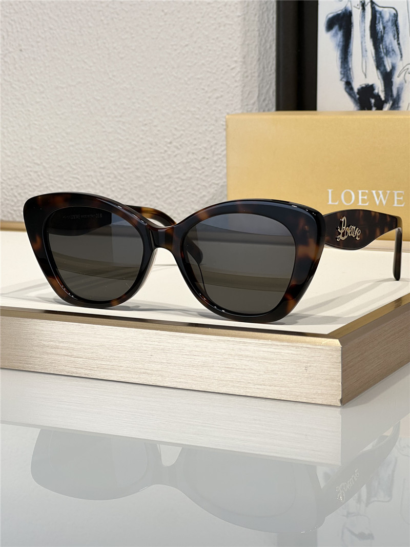 L0ew* fashionable luxury sunglasses