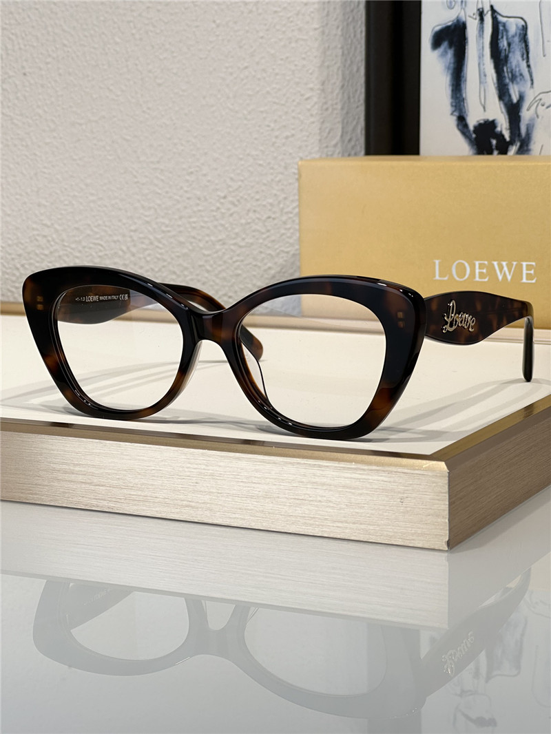 L0ew* fashionable luxury sunglasses