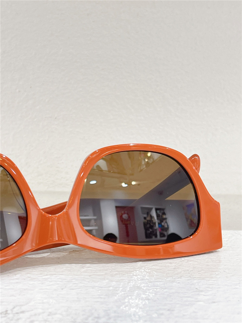 Ce1i*e new sunglasses