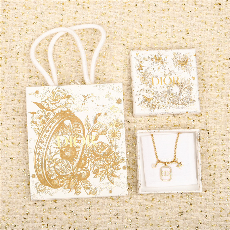 D10r chain choker necklace