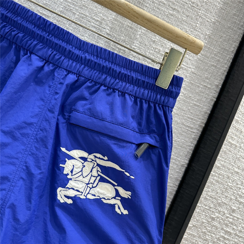 Bv*b*rry blue drawstring shorts