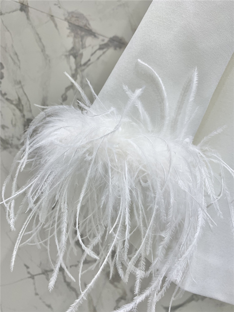 Y51 ostrich feather silhouette suit replica d&g clothing