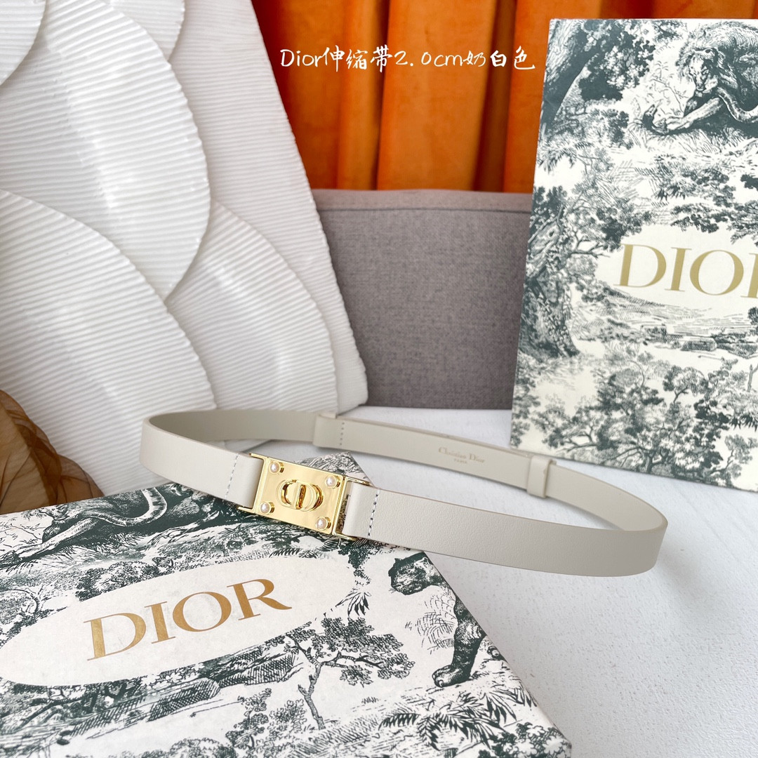 D10r popular women’s belt