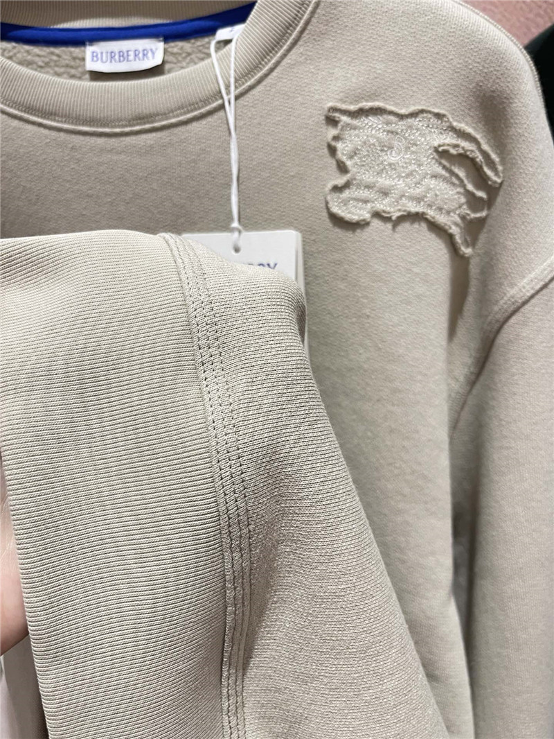 Bv*b*rry crocodile patch sweatshirt grey