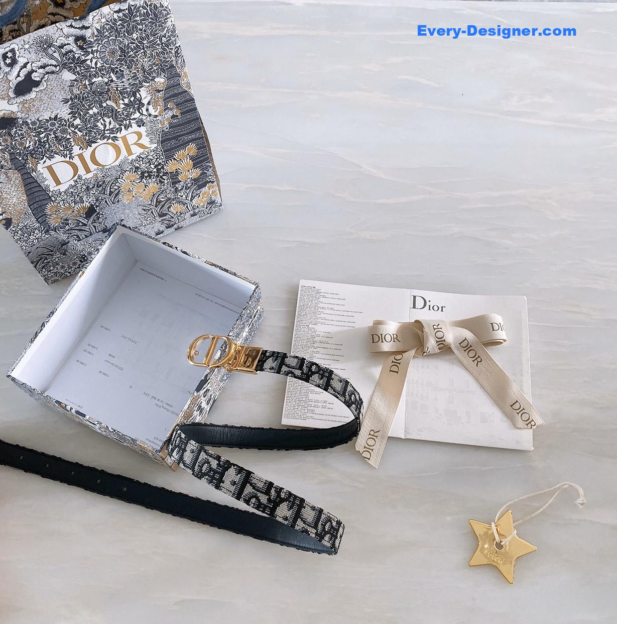 D10r montaigne cd belt