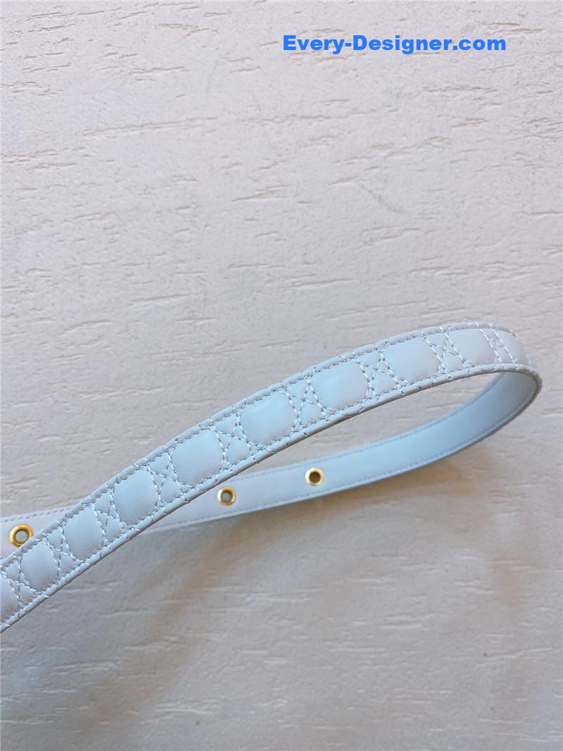 D10r gold finish metal cd belt