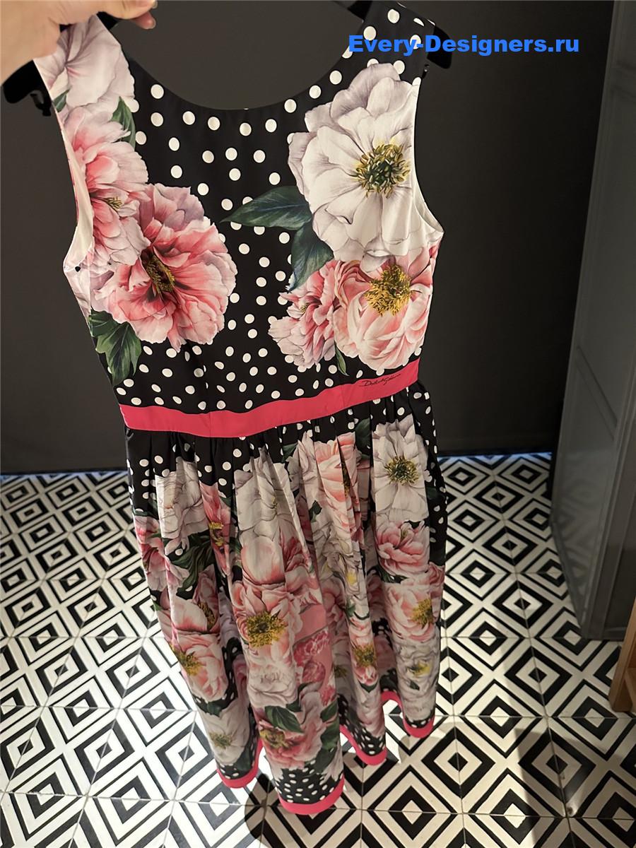 Dolce & Gabbana Printed Poplin Dress